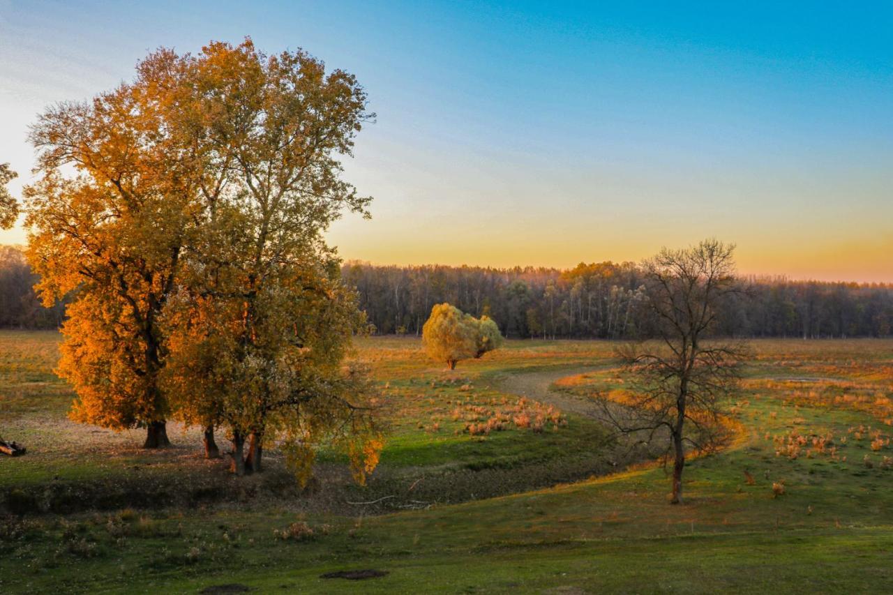 Zmaj Ognjeni Etno Concept Apartamento Kupinovo Exterior foto